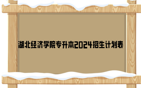 湖北经济学院专升本2024招生计划表