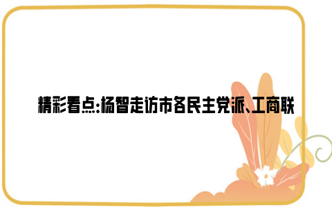 精彩看点：杨智走访市各民主党派、工商联共贺新春 共商发展