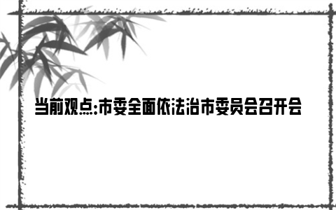 当前观点：市委全面依法治市委员会召开会议：持续深入推进全面依法治市，不断提高各领域工作法治化水平