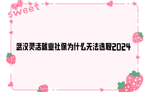 武汉灵活就业社保为什么无法选取2024缴费年度？