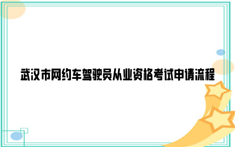 武汉市网约车驾驶员从业资格考试申请流程