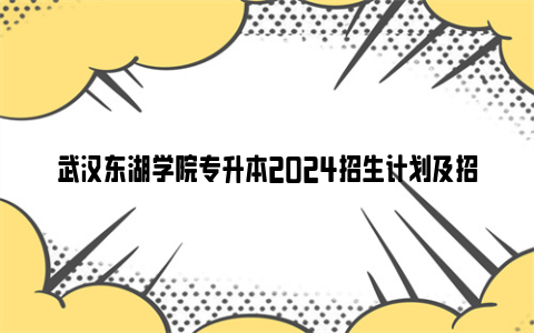 武汉东湖学院专升本2024招生计划及招生专业一览