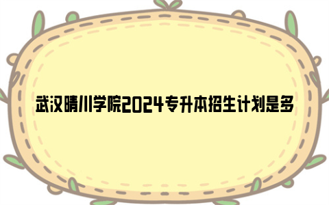 武汉晴川学院2024专升本招生计划是多少？（附招生专业）