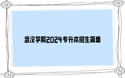 武汉学院2024专升本招生简章