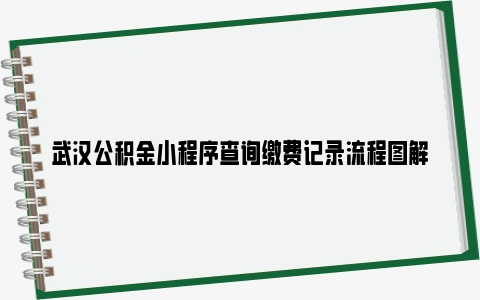 武汉公积金小程序查询缴费记录流程图解