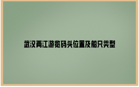 武汉两江游览码头位置及船只类型