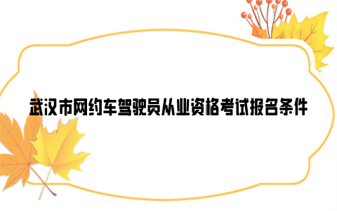 武汉市网约车驾驶员从业资格考试报名条件及所需资料