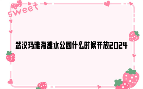 武汉玛雅海滩水公园什么时候开放2024(开放时间+门票价格)