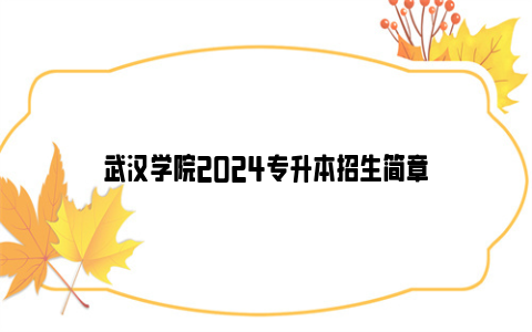 武汉学院2024专升本招生简章