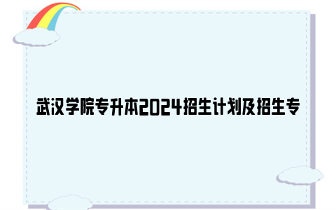 武汉学院专升本2024招生计划及招生专业一览表