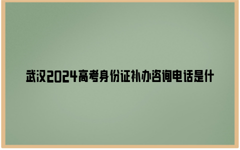 武汉2024高考身份证补办咨询电话是什么