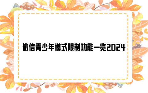 微信青少年模式限制功能一览2024