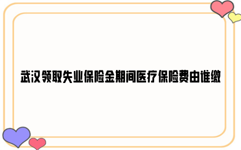 武汉领取失业保险金期间医疗保险费由谁缴纳?