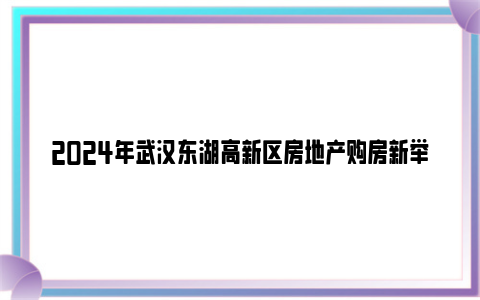 2024年武汉东湖高新区房地产购房新举措