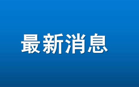 武汉轮渡航线全部临时停航通告2024