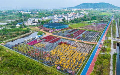 两千余户村民从卖苗木到“种风景”